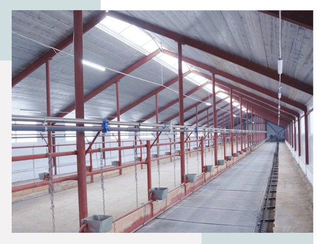 Строительство коровников в Кумертау от 613 руб.