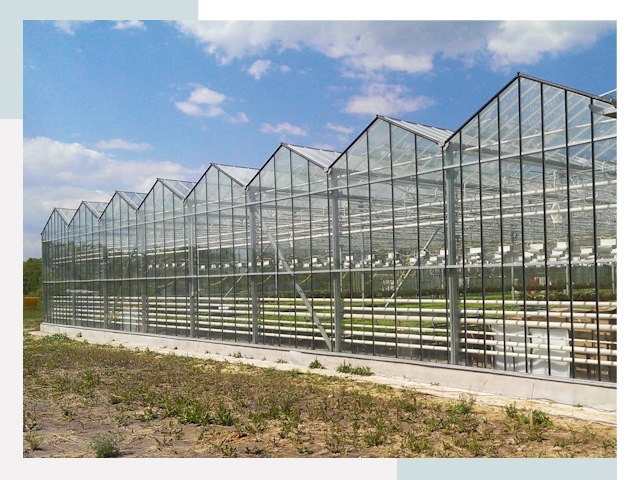 Строительство теплиц в Кумертау от 613 руб. за м²