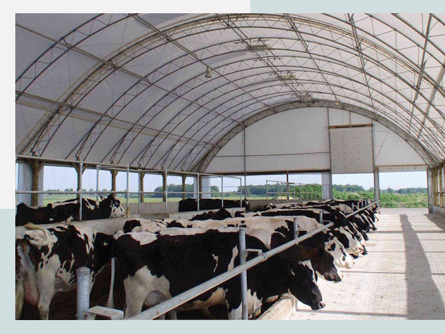 Тентовые коровники в Кумертау